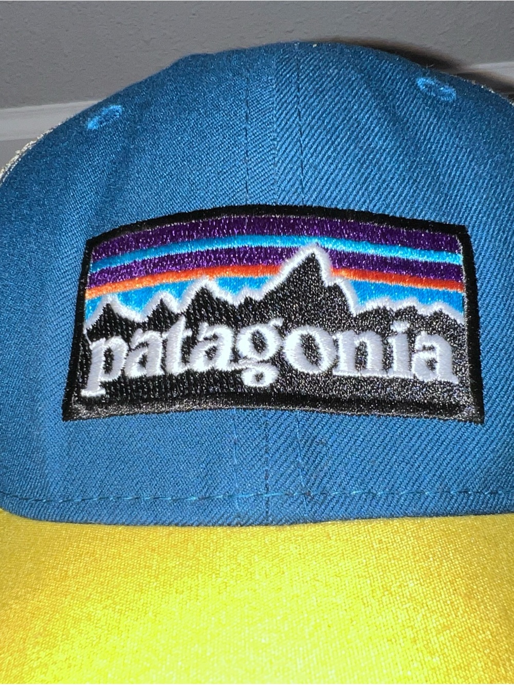 Patagonia Blue and Yellow Unisex Patch Logo Cap